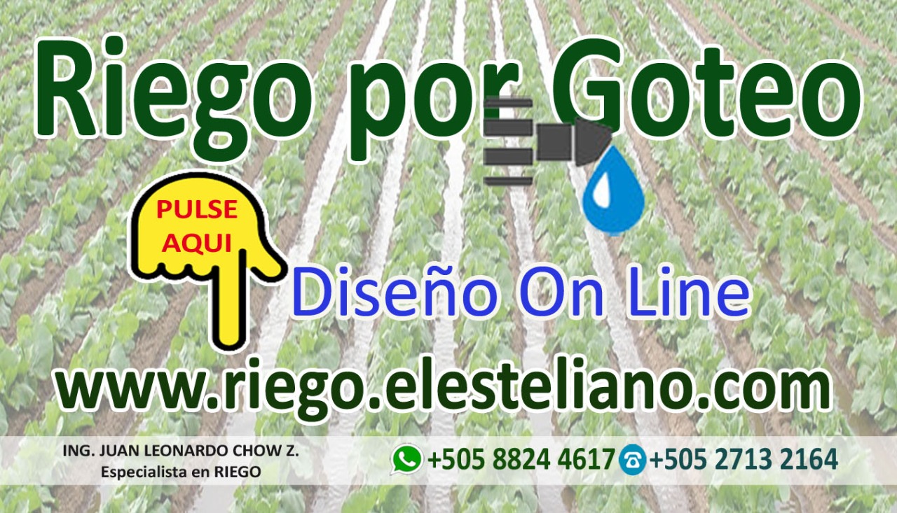 Diseño de sistemas de riego por goteo